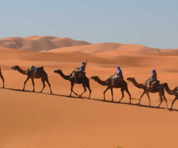 Merzouga Camel Ride