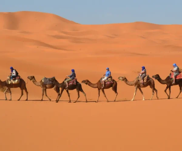 Chegaga Desert Camel riding