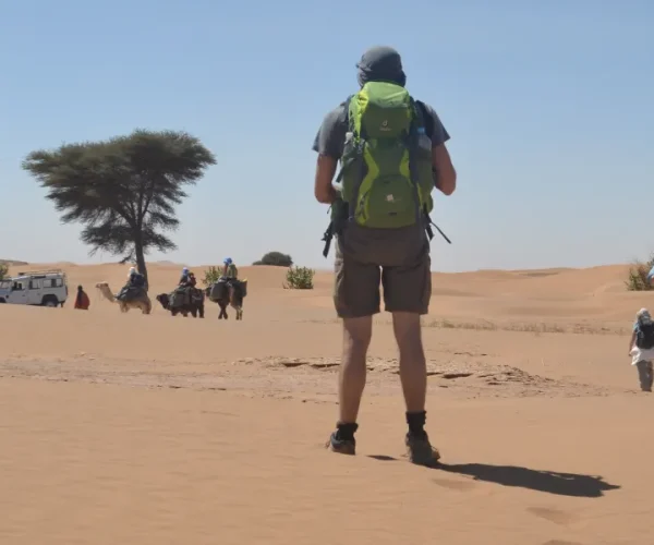 Djebel Bani and Desert Tour